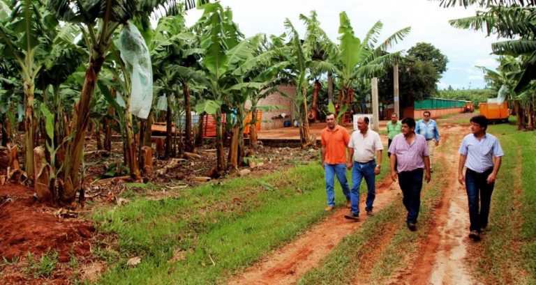 Bananeros piden una vez más parar el contrabando