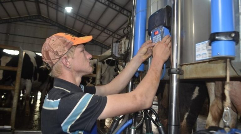 Tambo computarizado para la producción en Dr. J. E. Estigarribia