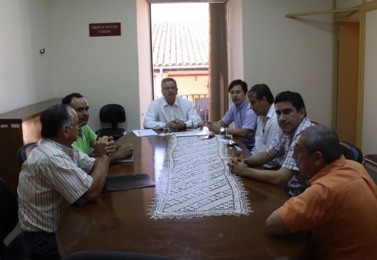 Denuncian masivo ingreso de huevos de contrabando