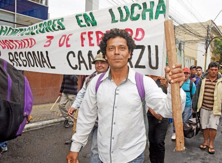 Pueden producir tomate todo el año si hay apoyo
